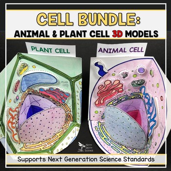 Cell - 3D Models Plant Cell and Animal Cell by Nitty Gritty Science