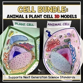 Cell - 3D Models Plant Cell and Animal Cell 