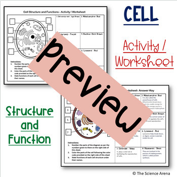 Cell Activity and Worksheet for Cell Structures and Functions | TPT