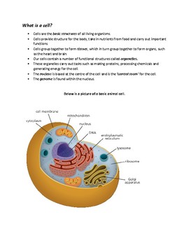 cell biology assignment pdf