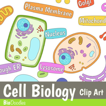 Preview of Cell Biology Cell Structures Organelles Clip Art Digital Stickers