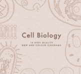 Cell Biology Diagrams