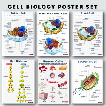 Preview of Cell Biology Poster Set