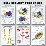 Cell Biology Poster Set