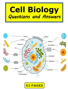 Preview of Cell Biology :Protein Synthesis Questions and Answers pdf