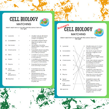 cell biology assignment example