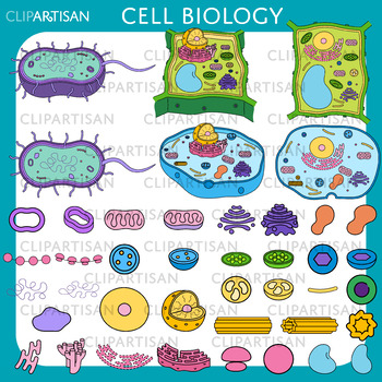 Preview of Cell Biology and Organelles Clip Art