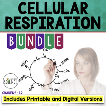 Preview of Cellular Respiration Unit Bundle