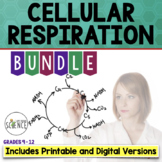 Cellular Respiration Unit Bundle