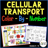 Cell Cellular Transport Color by Number Osmosis Diffusion