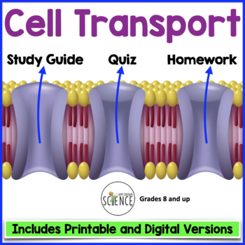 Preview of Cell Cellular Membrane Transport Quiz - Osmosis, Diffusion, Passive and Active