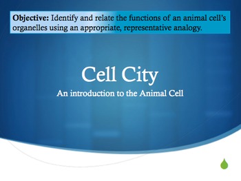 Preview of Cell City - An Introduction and Project Pack