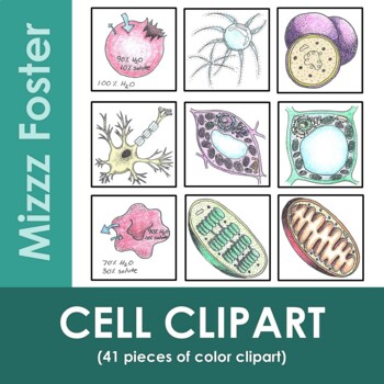 Cell Clip art Big Bundle 42 pieces (color only) by Mizzz Foster | TpT