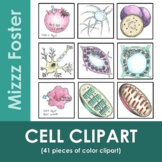 Cell Clipart 42 pieces (color only)