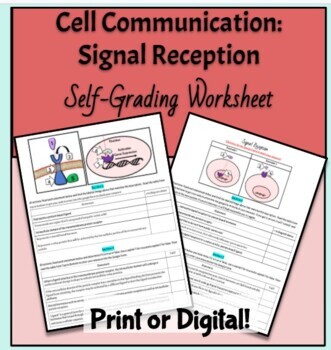 Preview of Cell Communication- Signal Reception (AP Bio 4.2) Self-Grading Worksheet
