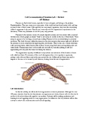 Cell Communication and Signaling using Planarians Lab + Review