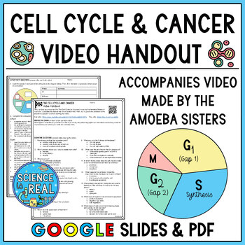 Preview of The Cell Cycle and Cancer Amoeba Sisters Video Handout
