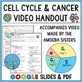 The Cell Cycle and Cancer Amoeba Sisters Video Handout