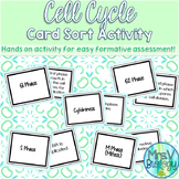 Cell Cycle Card Sort