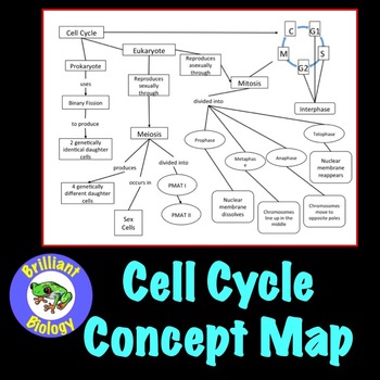 Cell Cycle Concept Map Mitosis Meiosis By Brilliant Biology Tpt