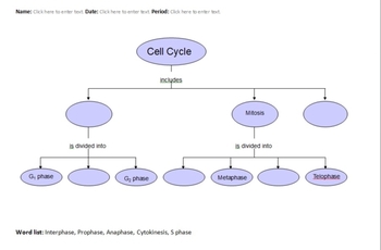 Cell Cycle Concept Maps Electronically Fillable Printable Tpt