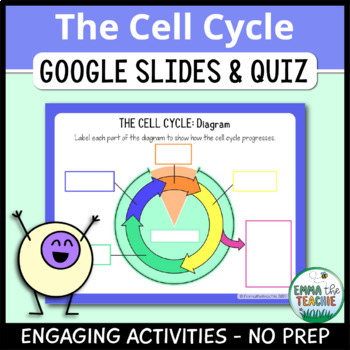 Preview of Cell Cycle Digital INB - Google Slides Activities and Google Forms Quiz FREEBIE