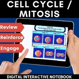 Cell Cycle and Mitosis Activity | Digital Interactive Notebook