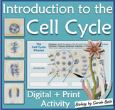 The Cell Cycle and Mitosis Digitital Lab Activity or Print
