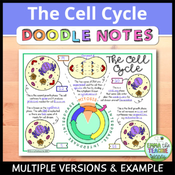 Preview of Cell Cycle Doodle Notes FREEBIE