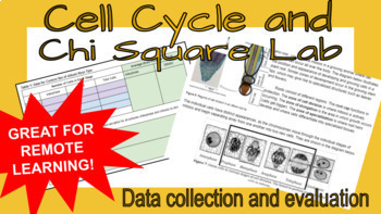 Preview of Cell Cycle Experimental Design Online Lab