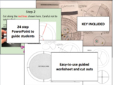 Cell Cycle and Mitosis Guided Activity Worksheet