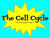 Cell Cycle Interactive Notebook Diagram