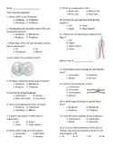 Cell Cycle/ Meiosis/Mitosis  Test and Review