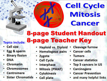 Mitosis And Cancer Teaching Resources Teachers Pay Teachers