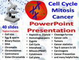 Cell Cycle, Mitosis, Cancer Powerpoint Presentation