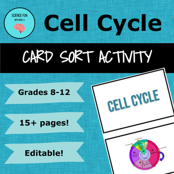 Preview of Cell Cycle & Mitosis Card Sort Activity