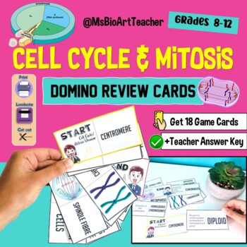 Preview of Cell Cycle - Mitosis Domino Review Cards - High School