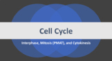 Cell Cycle (Mitosis) Google Slides Presentation
