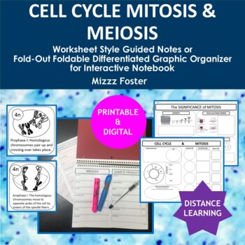 Preview of Cell Cycle, Mitosis & Meiosis Differentiated Guided Notes (Printable & Digital)