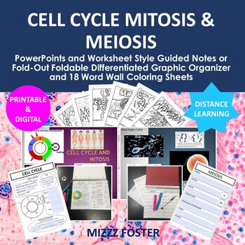 Preview of Cell Cycle, Mitosis & Meiosis PowerPoints, Graphic Organizers & Word Wall Sheets