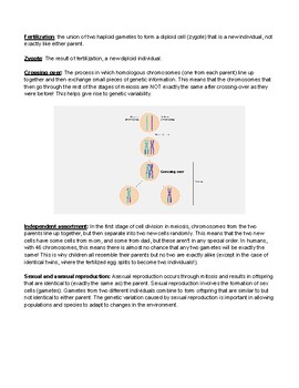Cell Cycle, Mitosis, Meiosis, and Fertilization: Illustrated Glossary