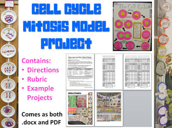 Preview of Cell Cycle Mitosis Project - Directions, Rubric, Examples