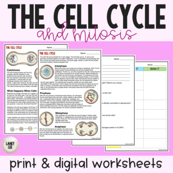 Preview of Cell Cycle & Mitosis - Reading Comprehension Worksheets