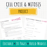 Cell Cycle & Mitosis Stop Motion Project