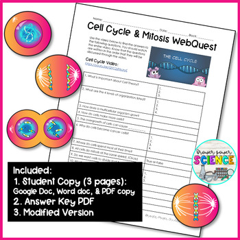 Cell Cycle Mitosis Webquest Distance Learning By Brower Power Science