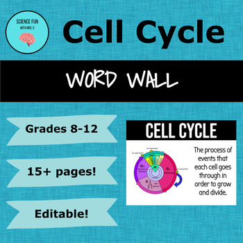 Preview of Cell Cycle & Mitosis Word Wall