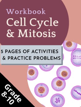 Preview of Cell Cycle & Mitosis Workbook | Answer Key Included