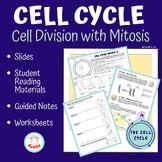 Cell Cycle (Mitosis): Worksheets, Slides, and More