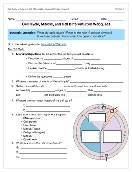 Featured image of post Cell Cycle And Mitosis Webquest Answer Key Pdf Interphase and the mitotic phase figure 1