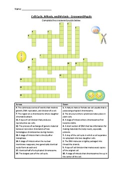 Preview of Cell Cycle, Mitosis, and Meiosis - Crossword Puzzle Worksheet (Printable)